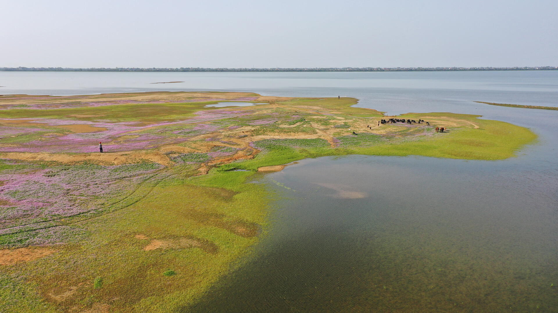 赫山区来仪湖国家重要湿地入选国家重要湿地名录