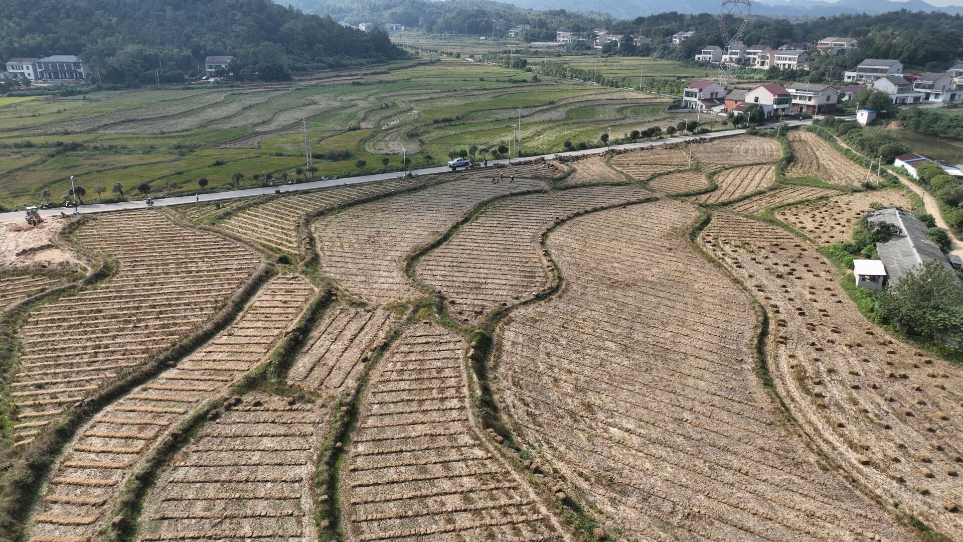 赫山区：“秸”尽所能种菌菇 “冬闲田”变“增收田”