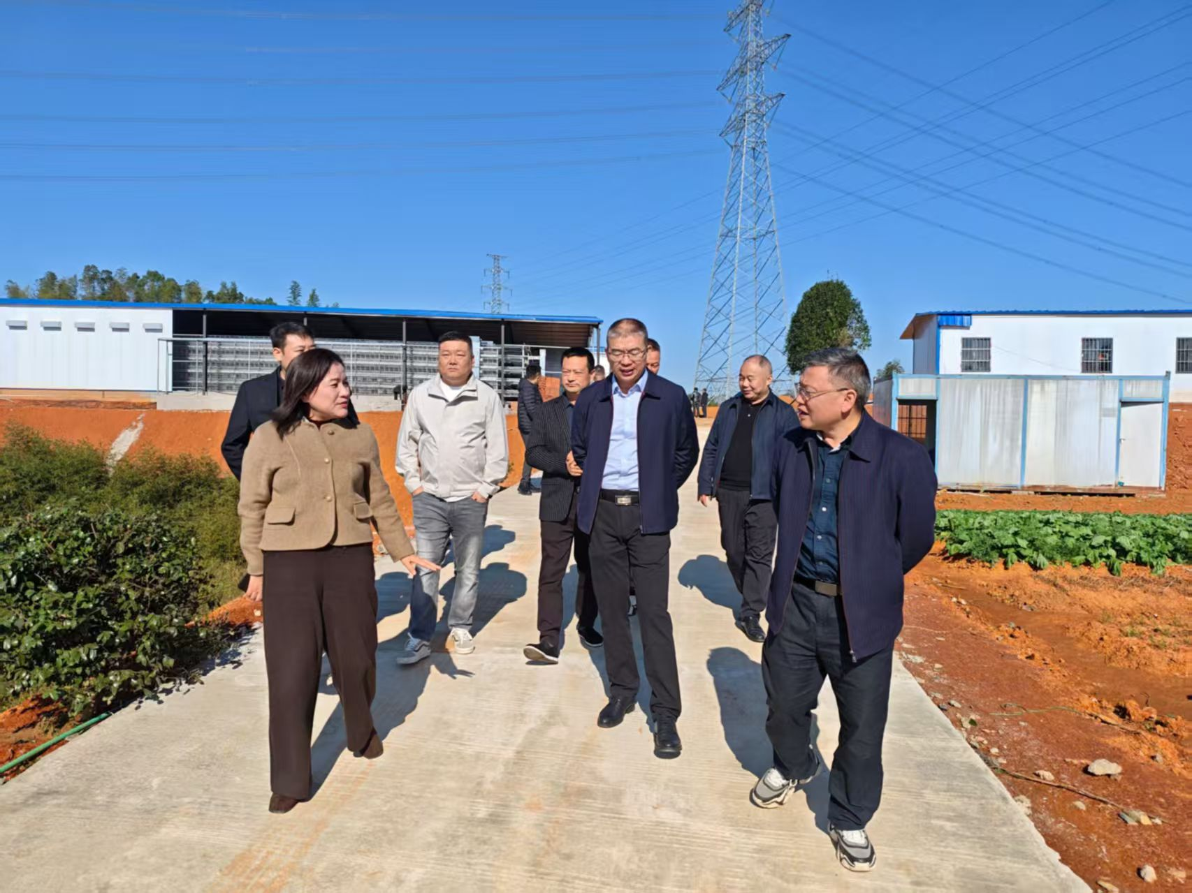 副市长唐杰来赫山调研指导养殖业高质量发展工作