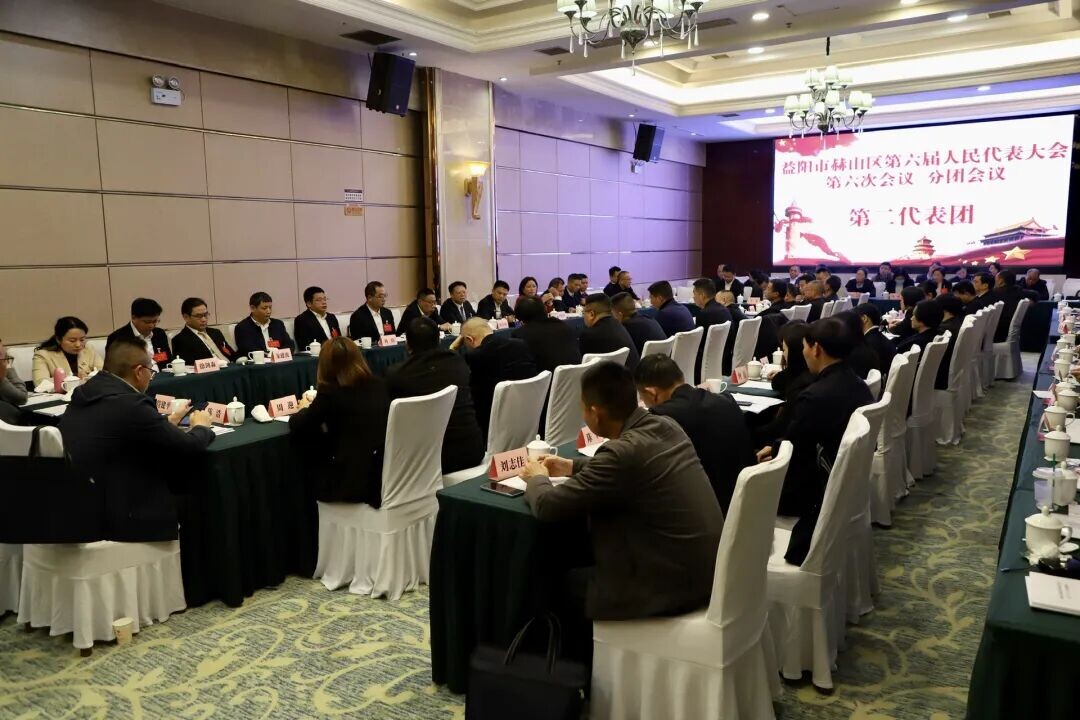 区人大代表分团审议审查各项工作报告以及“十五五”规划纲要草案