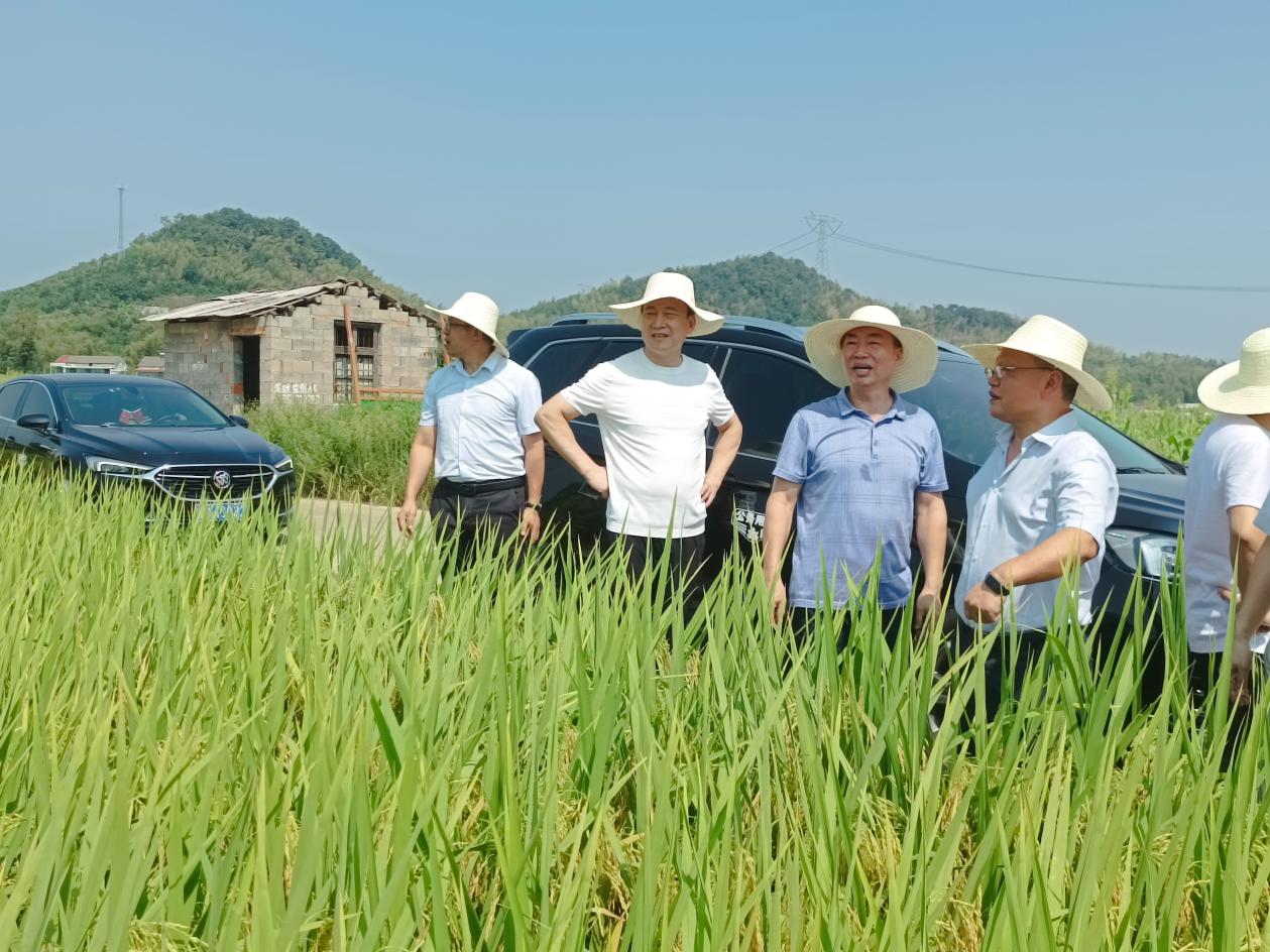 陈伟志调研油草塘村乡村振兴驻村帮扶工作